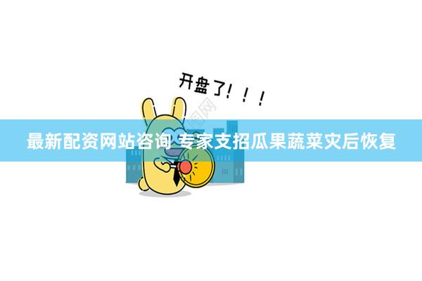最新配资网站咨询 专家支招瓜果蔬菜灾后恢复