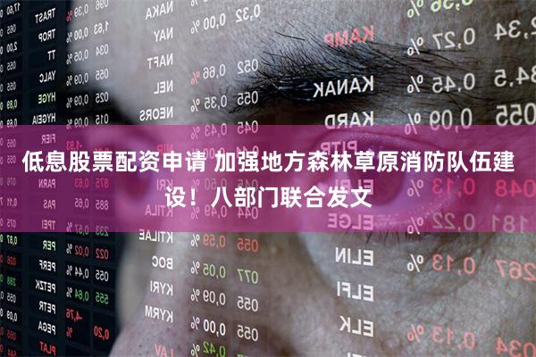 低息股票配资申请 加强地方森林草原消防队伍建设！八部门联合发文