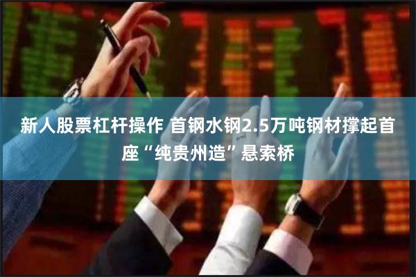 新人股票杠杆操作 首钢水钢2.5万吨钢材撑起首座“纯贵州造”悬索桥