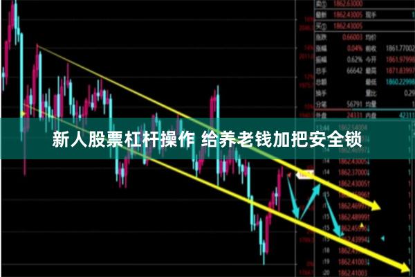 新人股票杠杆操作 给养老钱加把安全锁