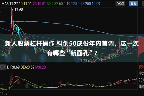 新人股票杠杆操作 科创50成份年内首调，这一次有哪些“新面孔”？