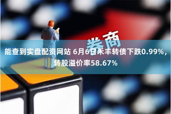 能查到实盘配资网站 6月6日禾丰转债下跌0.99%，转股溢价率58.67%