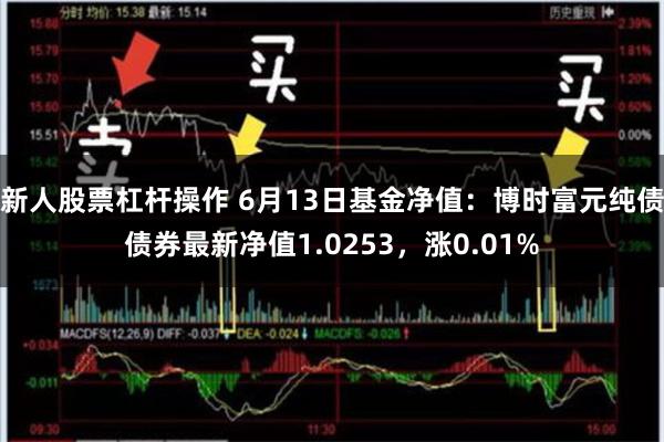 新人股票杠杆操作 6月13日基金净值：博时富元纯债债券最新净值1.0253，涨0.01%