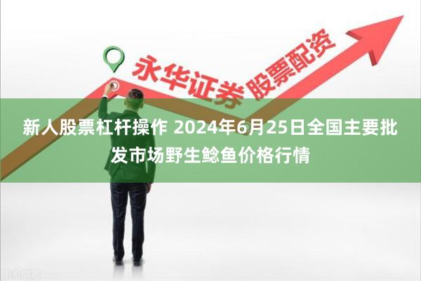 新人股票杠杆操作 2024年6月25日全国主要批发市场野生鲶鱼价格行情