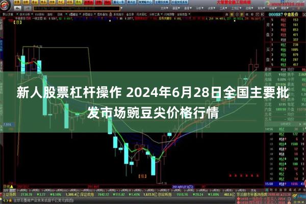 新人股票杠杆操作 2024年6月28日全国主要批发市场豌豆尖价格行情