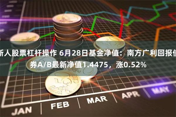 新人股票杠杆操作 6月28日基金净值：南方广利回报债券A/B最新净值1.4475，涨0.52%