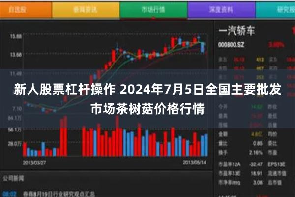 新人股票杠杆操作 2024年7月5日全国主要批发市场茶树菇价格行情