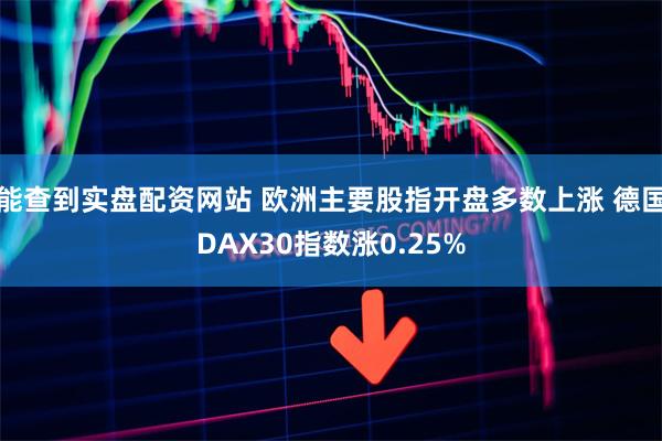 能查到实盘配资网站 欧洲主要股指开盘多数上涨 德国DAX30指数涨0.25%