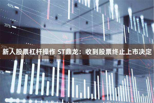 新人股票杠杆操作 ST鼎龙：收到股票终止上市决定