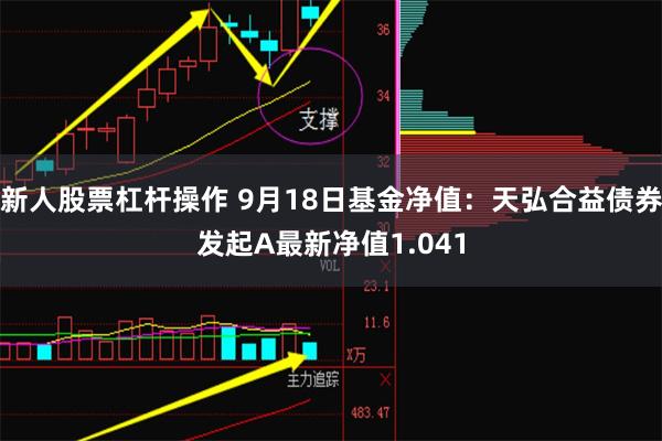 新人股票杠杆操作 9月18日基金净值：天弘合益债券发起A最新净值1.041