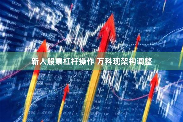 新人股票杠杆操作 万科现架构调整