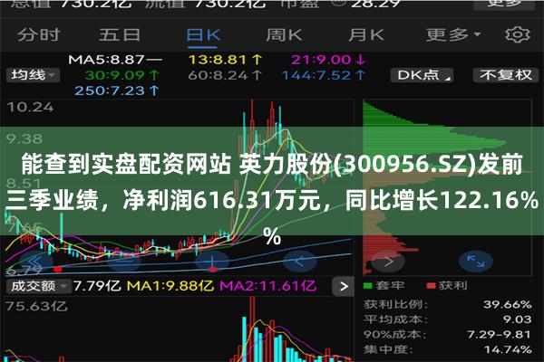 能查到实盘配资网站 英力股份(300956.SZ)发前三季业绩，净利润616.31万元，同比增长122.16%