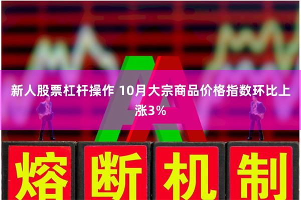 新人股票杠杆操作 10月大宗商品价格指数环比上涨3%