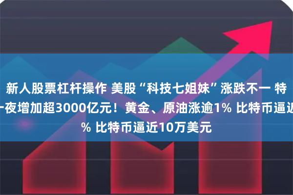 新人股票杠杆操作 美股“科技七姐妹”涨跌不一 特斯拉市值一夜增加超3000亿元！黄金、原油涨逾1% 比特币逼近10万美元