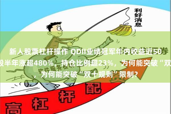 新人股票杠杆操作 QDII业绩冠军年内收益近50%，头号重仓股半年涨超480%，持仓比例超23%，为何能突破“双十规则”限制？