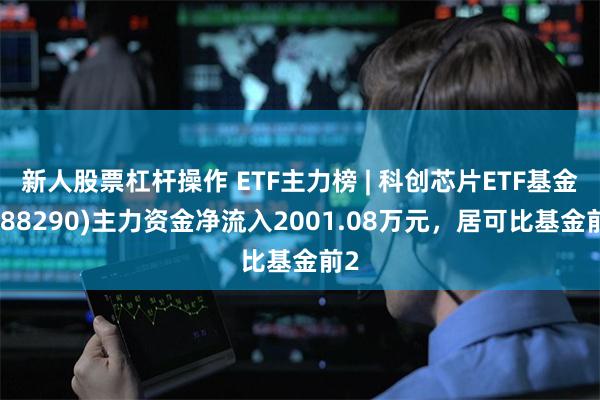 新人股票杠杆操作 ETF主力榜 | 科创芯片ETF基金(588290)主力资金净流入2001.08万元，居可比基金前2