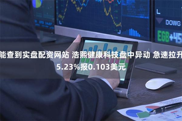 能查到实盘配资网站 浩熙健康科技盘中异动 急速拉升5.23%报0.103美元