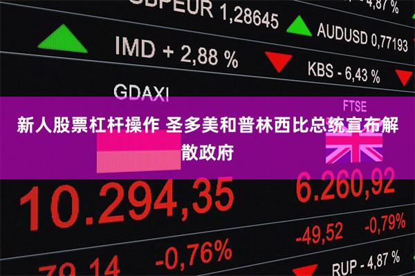 新人股票杠杆操作 圣多美和普林西比总统宣布解散政府