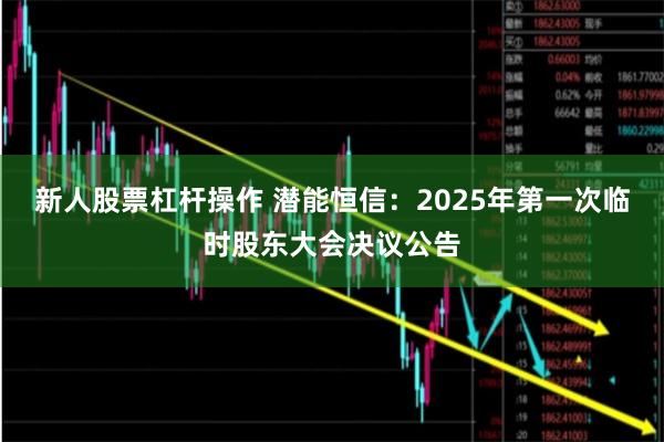 新人股票杠杆操作 潜能恒信：2025年第一次临时股东大会决议公告