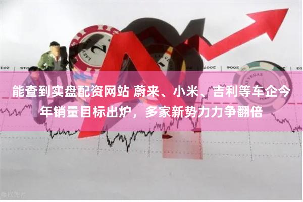 能查到实盘配资网站 蔚来、小米、吉利等车企今年销量目标出炉，多家新势力力争翻倍